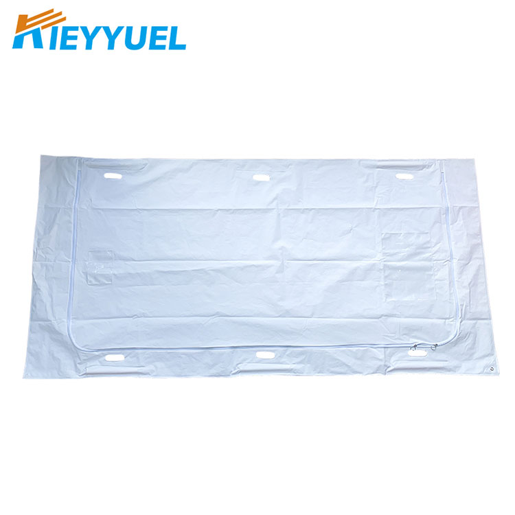 Kulîlka Laşê Mirî ya Aqilmend